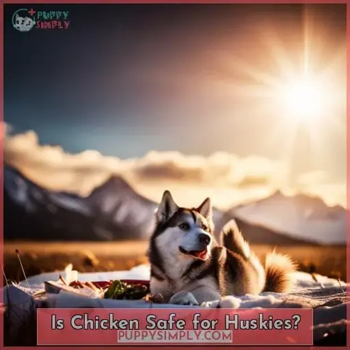 Is Chicken Safe for Huskies