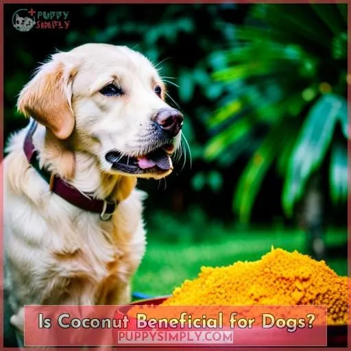 Is Coconut Beneficial for Dogs