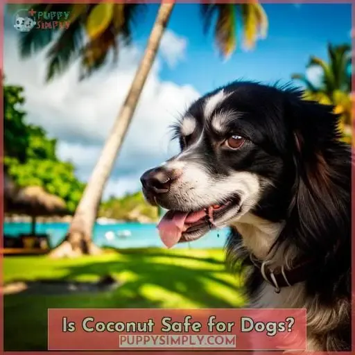 Is Coconut Safe for Dogs
