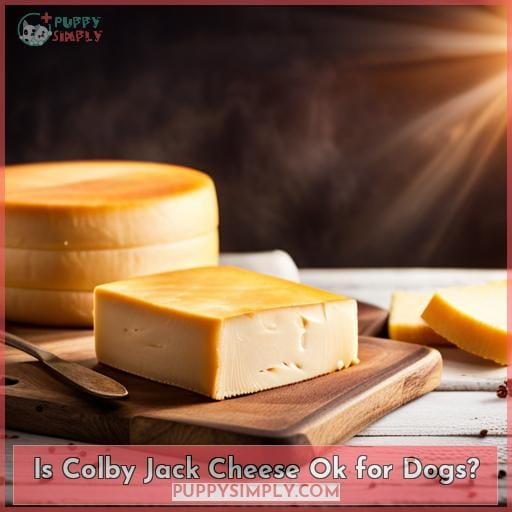 Is Colby Jack Cheese Ok for Dogs