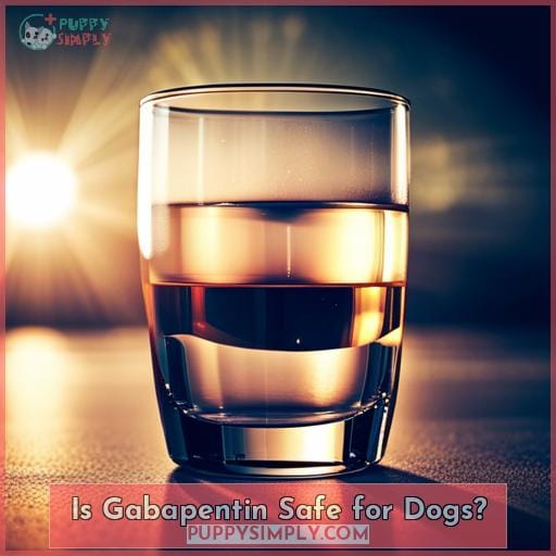 Is Gabapentin Safe for Dogs