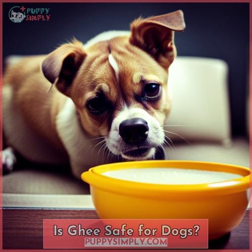 Is Ghee Safe for Dogs
