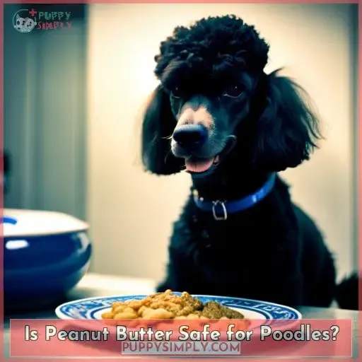 Is Peanut Butter Safe for Poodles