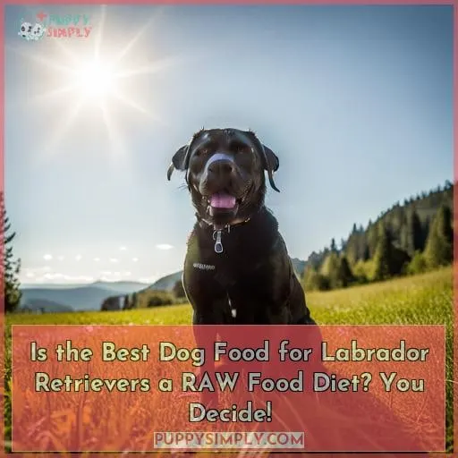 Is the Best Dog Food for Labrador Retrievers a RAW Food Diet? You Decide!