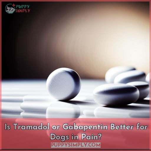 Is Tramadol or Gabapentin Better for Dogs in Pain
