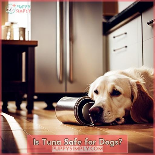 Is Tuna Safe for Dogs