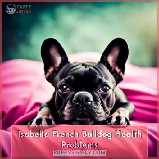 Isabella French Bulldog Health Problems