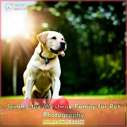 Joining the Westway Family for Pet Photography