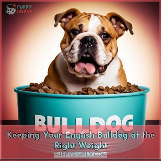 Keeping Your English Bulldog at the Right Weight