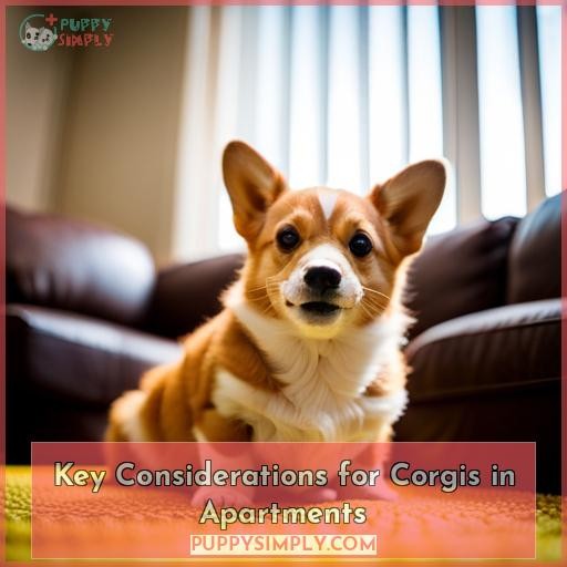 Key Considerations for Corgis in Apartments