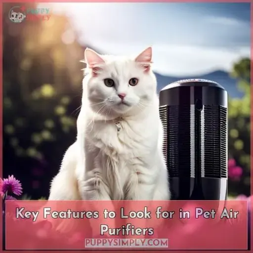 Key Features to Look for in Pet Air Purifiers