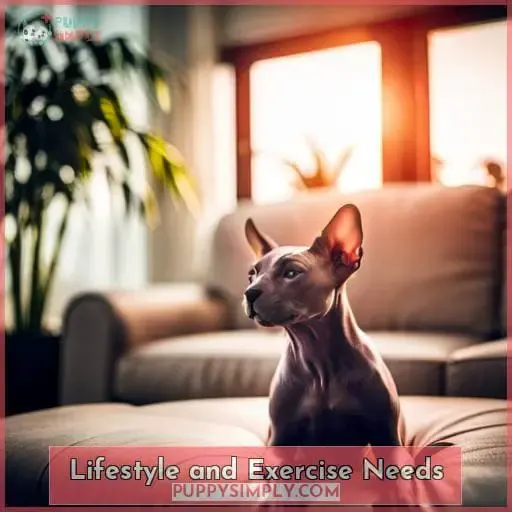 Lifestyle and Exercise Needs