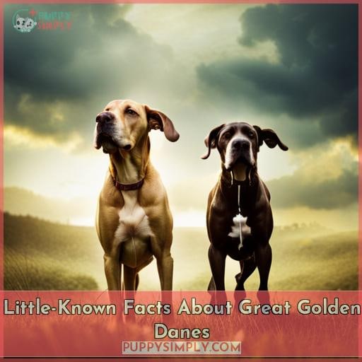 Little-Known Facts About Great Golden Danes