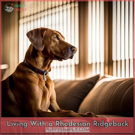 Living With a Rhodesian Ridgeback