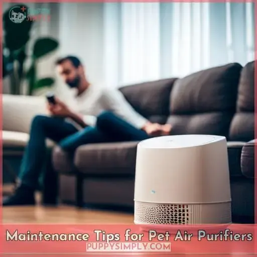 Maintenance Tips for Pet Air Purifiers