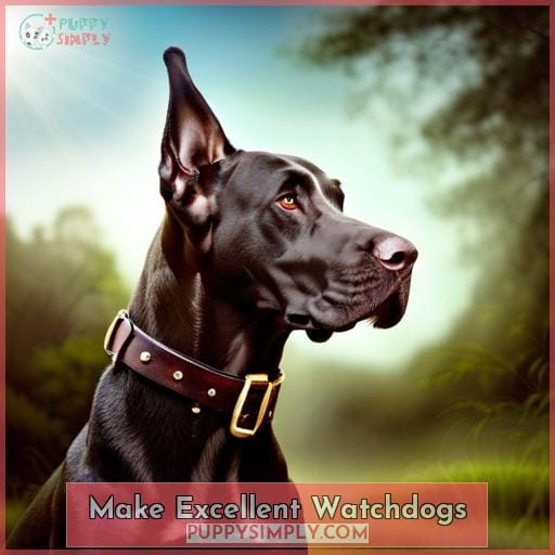 Make Excellent Watchdogs