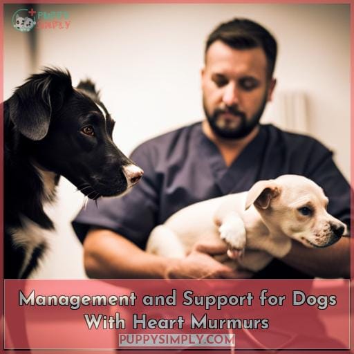 Management and Support for Dogs With Heart Murmurs