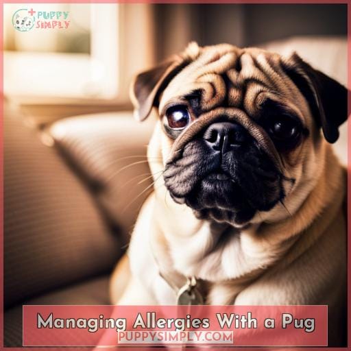 Managing Allergies With a Pug