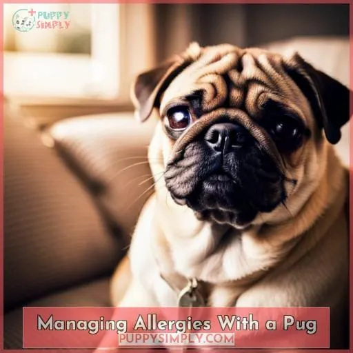 Managing Allergies With a Pug