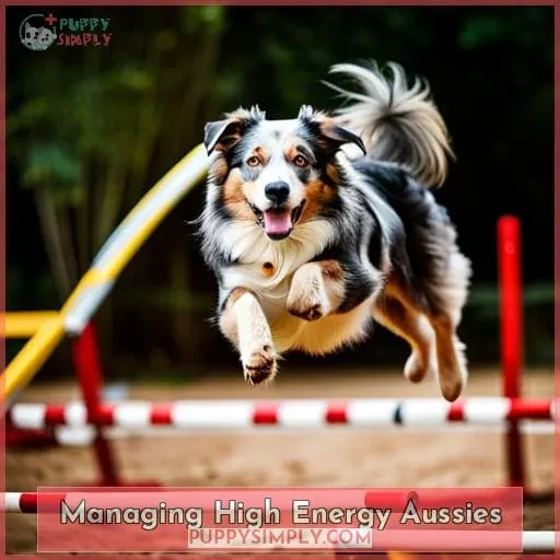 Managing High Energy Aussies