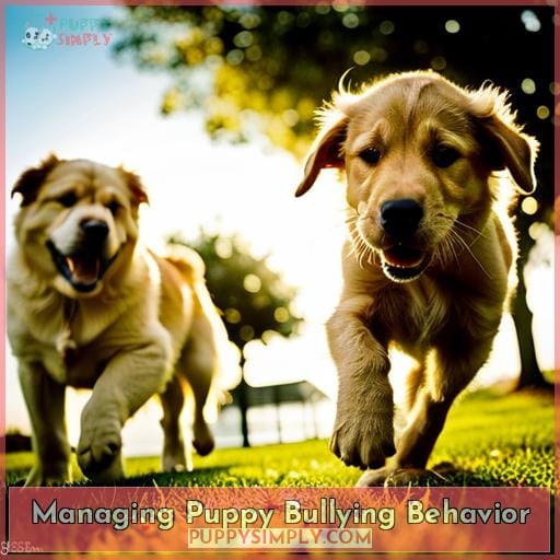 Managing Puppy Bullying Behavior