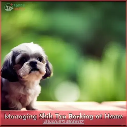 Managing Shih Tzu Barking at Home