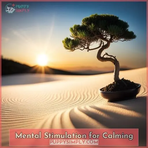 Mental Stimulation for Calming