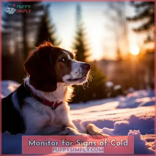 Monitor for Signs of Cold