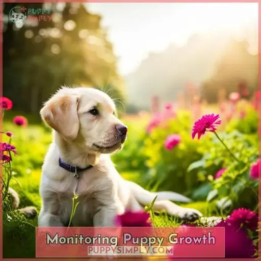 Monitoring Puppy Growth