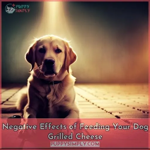 Negative Effects of Feeding Your Dog Grilled Cheese
