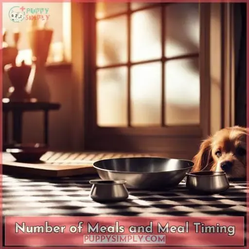 Number of Meals and Meal Timing