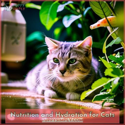 Nutrition and Hydration for Cats