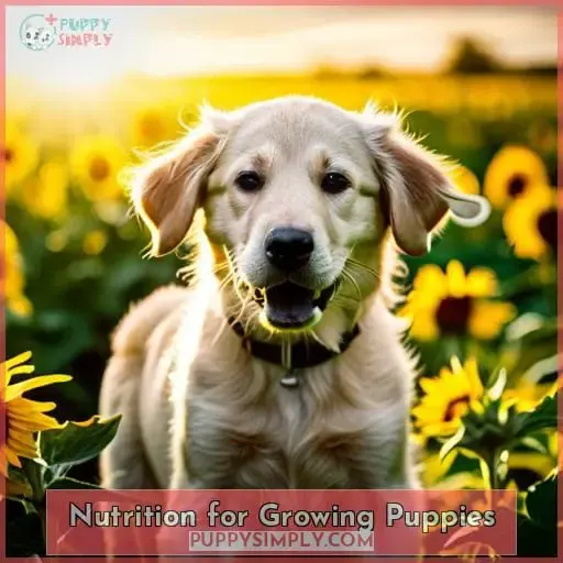 Nutrition for Growing Puppies