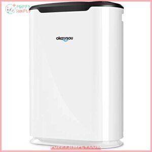 Okaysou AirMax8L 19.4” 5-in-1 Large B07K1BXL52