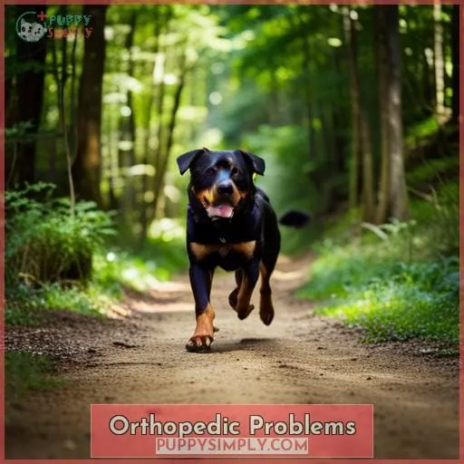 Orthopedic Problems