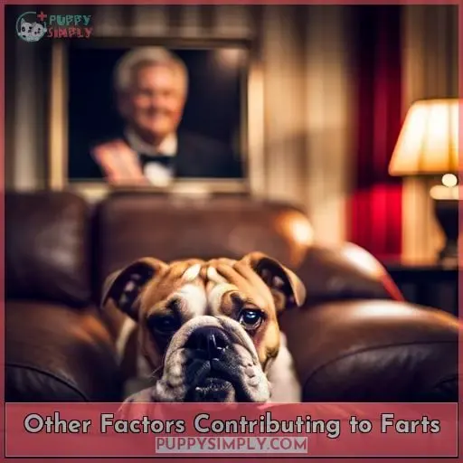 Other Factors Contributing to Farts