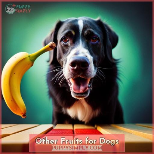 Other Fruits for Dogs