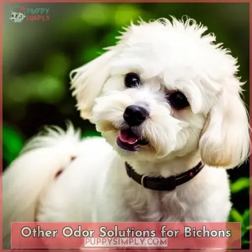 Other Odor Solutions for Bichons