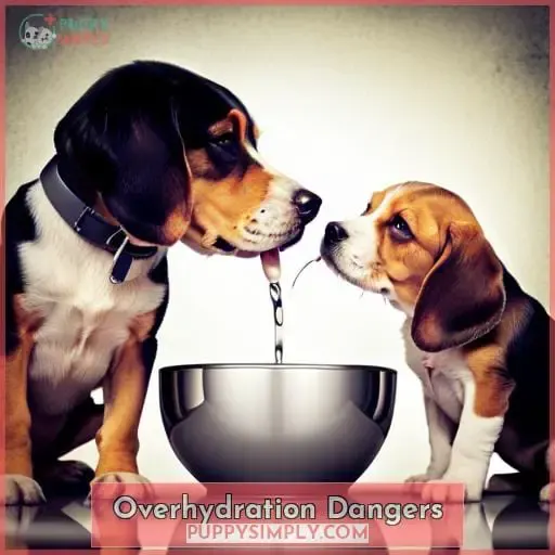 Overhydration Dangers