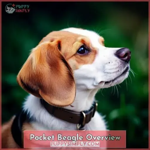 Pocket Beagle Overview