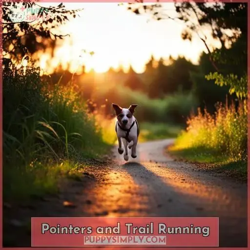 Pointers and Trail Running