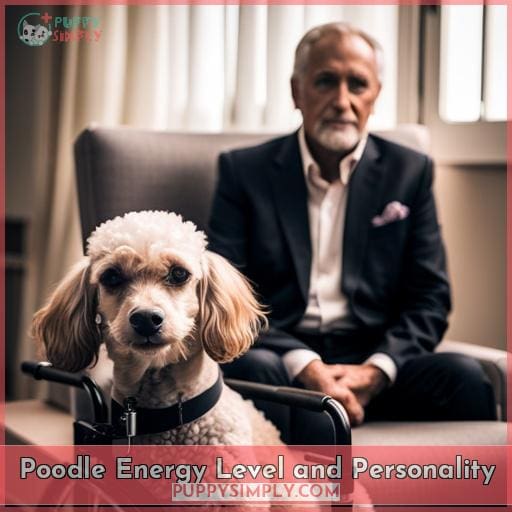 Poodle Energy Level and Personality