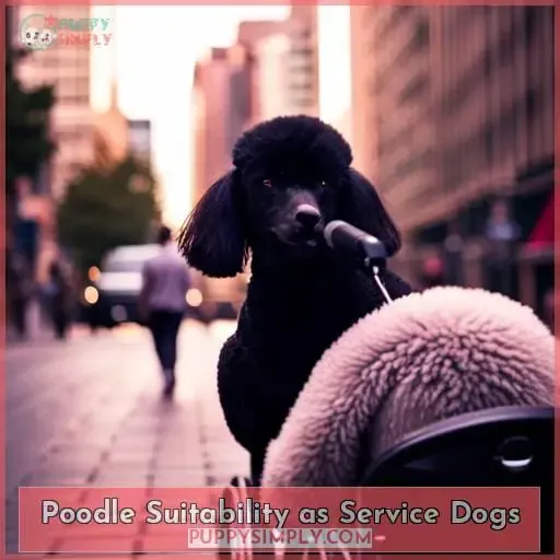 Poodle Suitability as Service Dogs