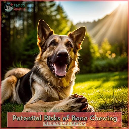 Potential Risks of Bone Chewing