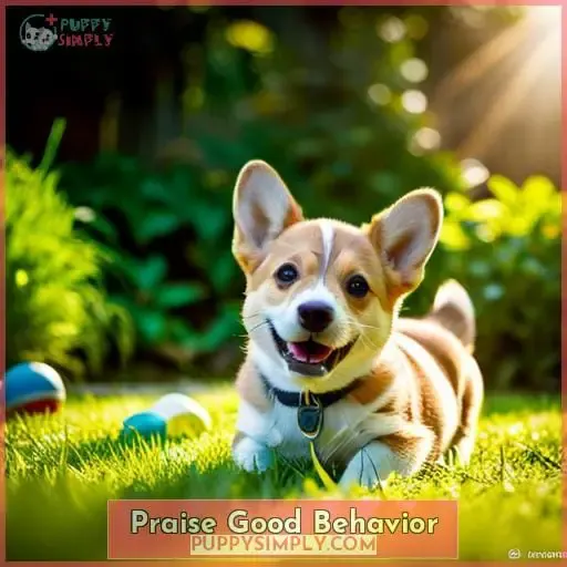Praise Good Behavior