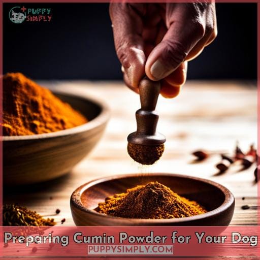 Preparing Cumin Powder for Your Dog