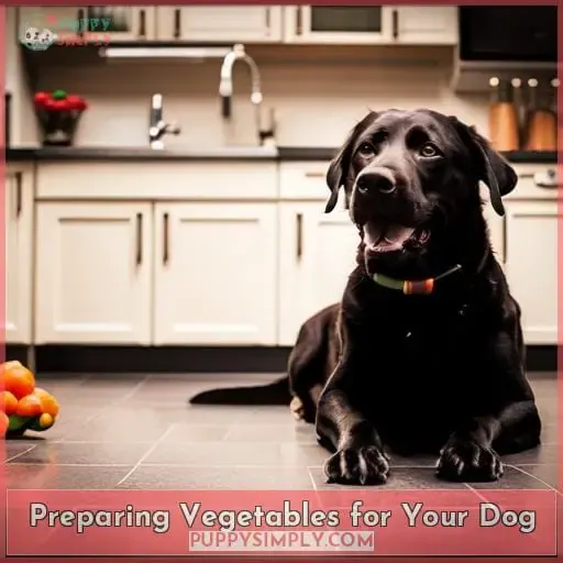 Preparing Vegetables for Your Dog