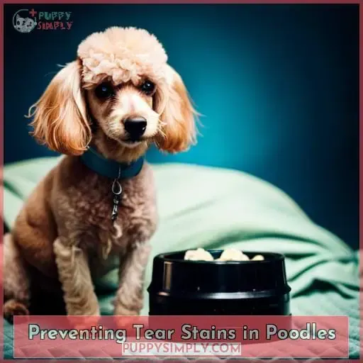 Preventing Tear Stains in Poodles
