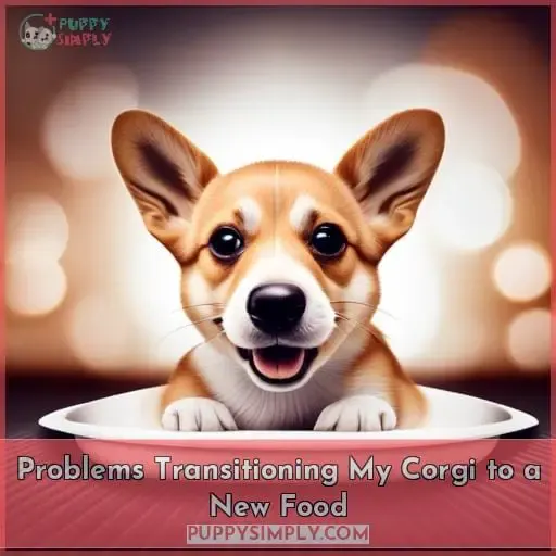 Problems Transitioning My Corgi to a New Food