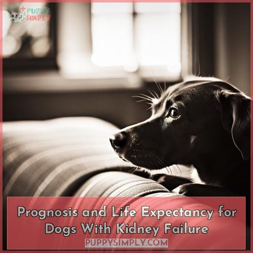 Prognosis and Life Expectancy for Dogs With Kidney Failure